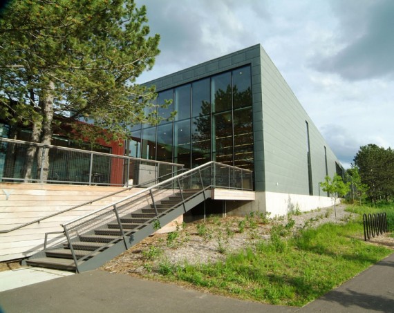 MAPLEWOOD LIBRARY 2