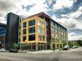 American Academy of Neurology 9