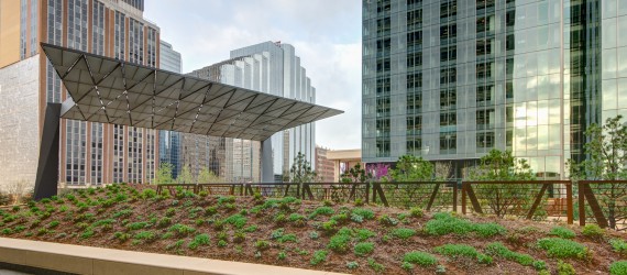 Architectural Records Features SandRidge Commons